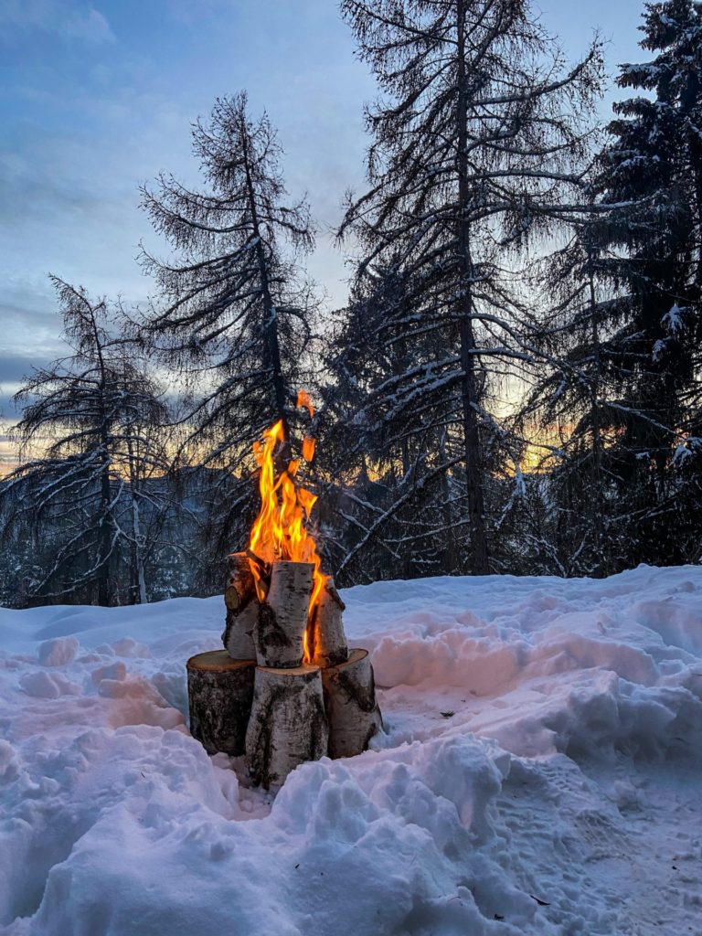 winter birch campfire