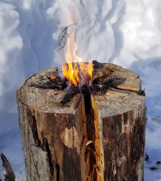 Swedish fire log close up in snow