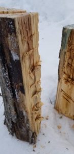 Swedish Log Fire inside wood