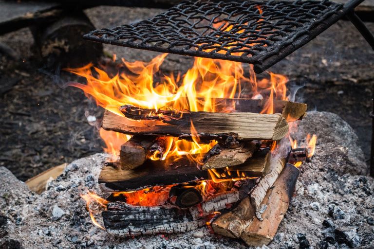 24" Heavy Duty Black Steel Swing Away Campfire Grill Outdoor Backyard Cooking 