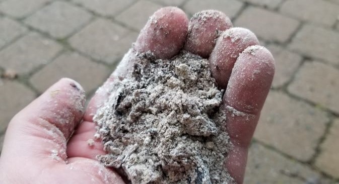 a handful of fire pit ashes