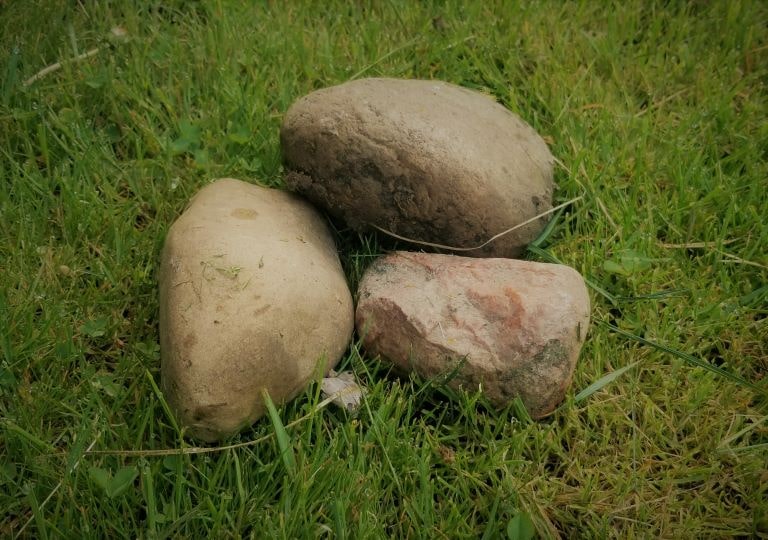 Three rocks laying in green grass. Rocks can be heated to warm a tent.