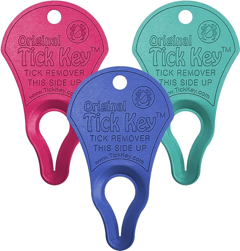 Tick key tick removal tools