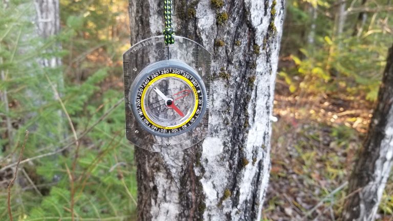 A compass hanging from a poplar tree