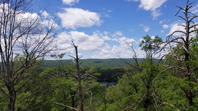 View from Algonquin Park trail. Whispering Winds Trail, Egg Rock. Blue sky with puffy white clouds and trees in the forefront.