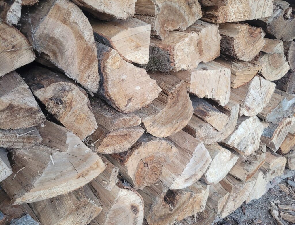 Beech and maple hardwood pile